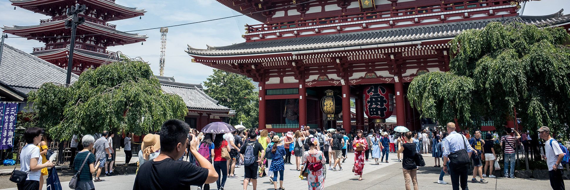 Language courses and language trips