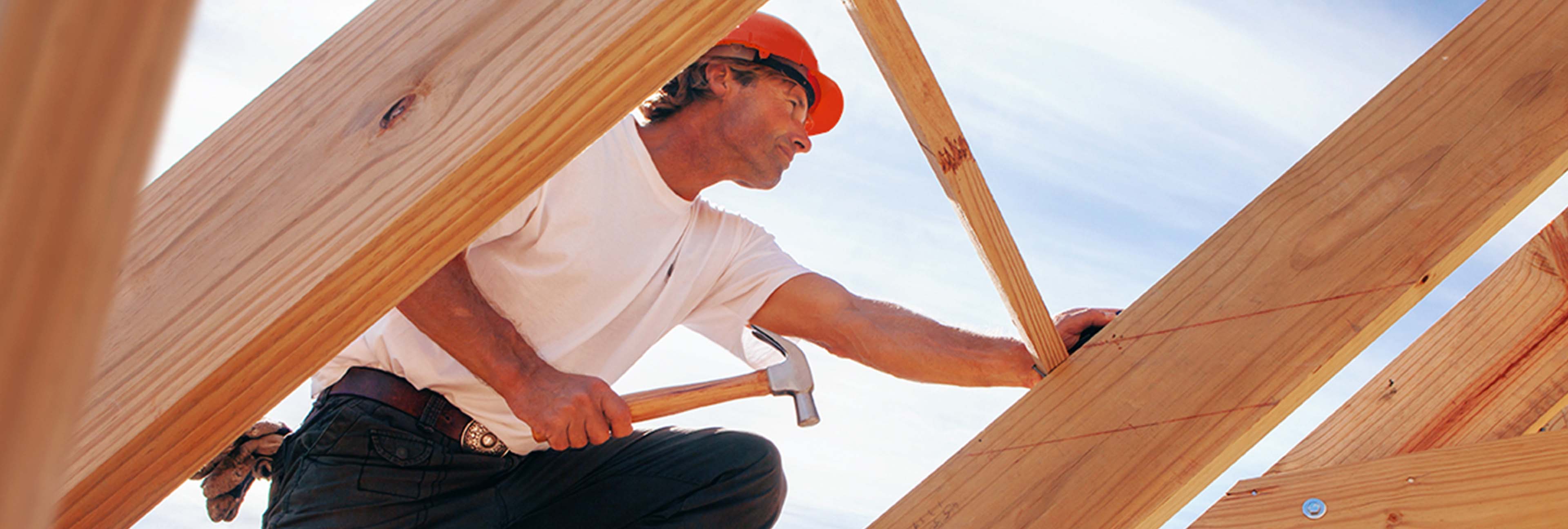 Holzbau im Überblick