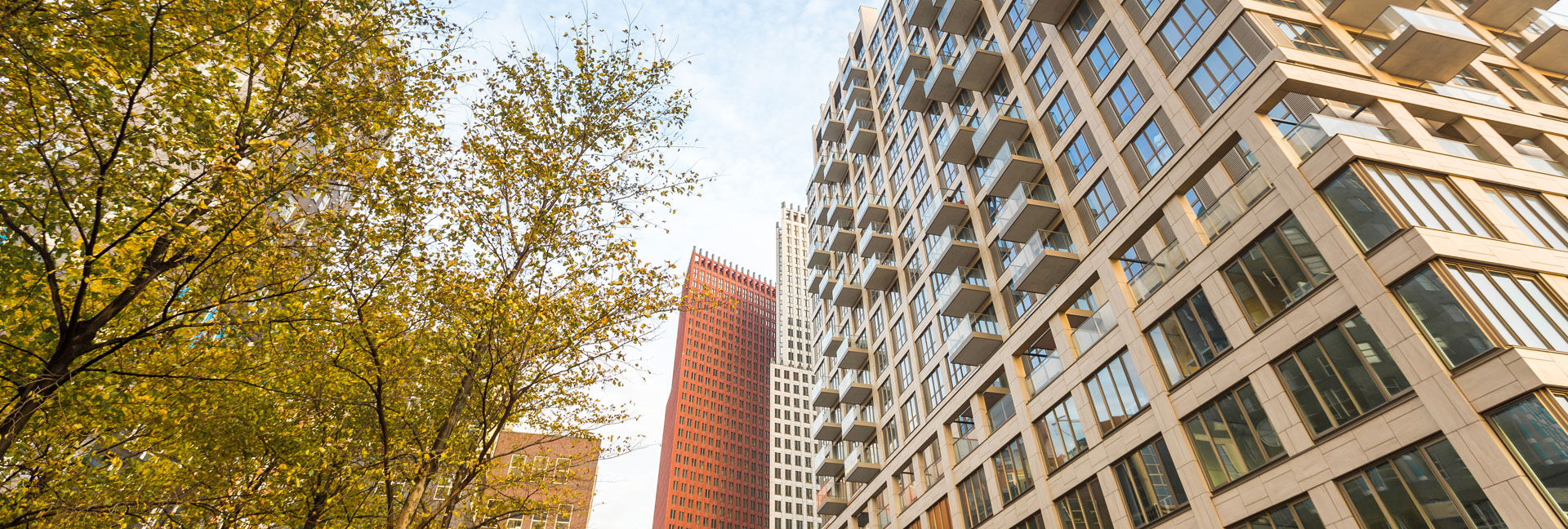 A tribute to the city of The Hague