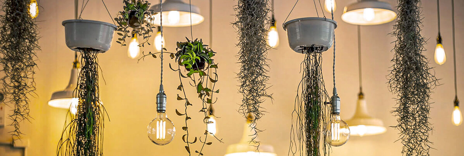 Alles im grünen Bereich zuhause: