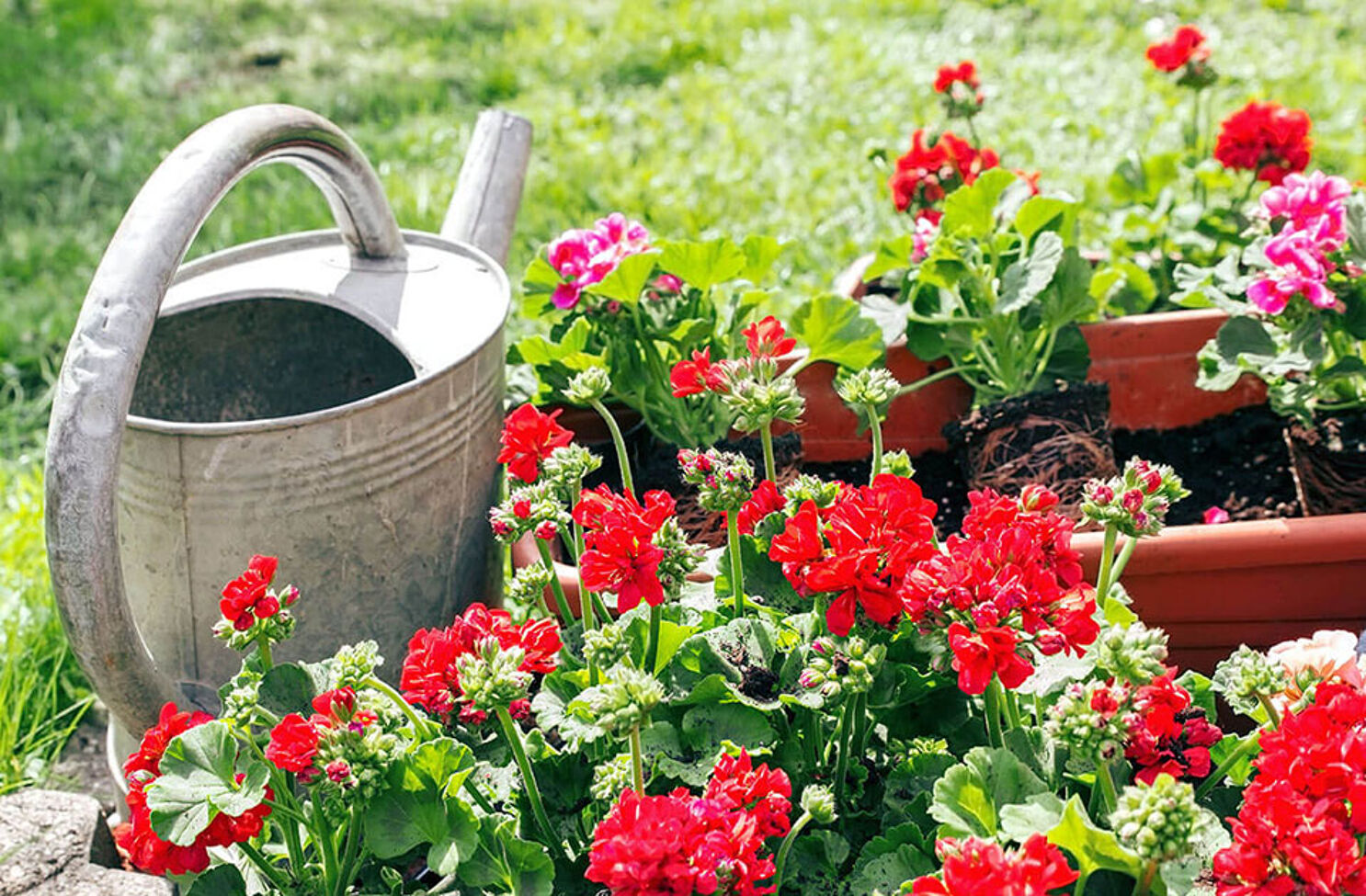 Blumenkästen und Rankgitter sicher befestigen fischer