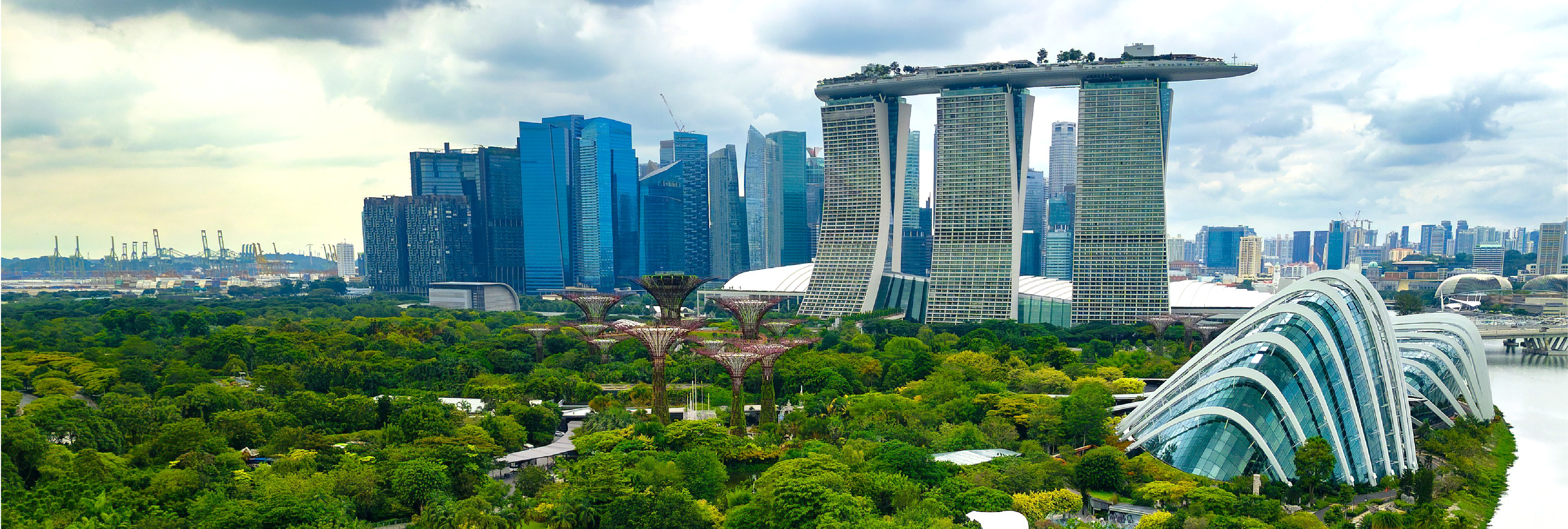 fischer Singapore