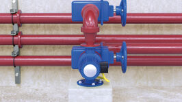 Immagine Applicazione