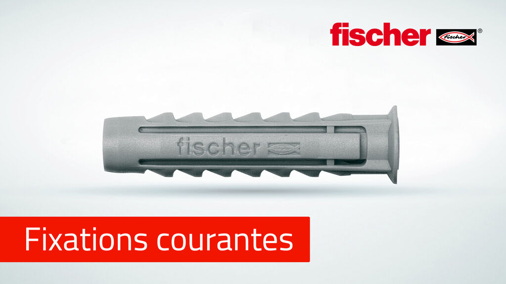 Boîte de 100 chevilles Fischer - SX plus 8x40mm - Nylon