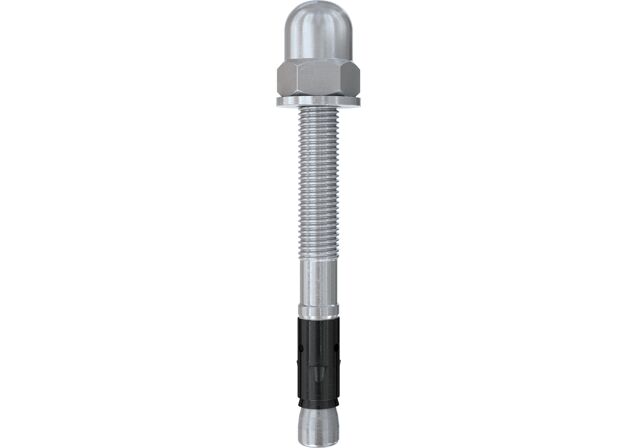 Product Category Picture: "Bolt anchor FAZ II Plus H with cap nut"