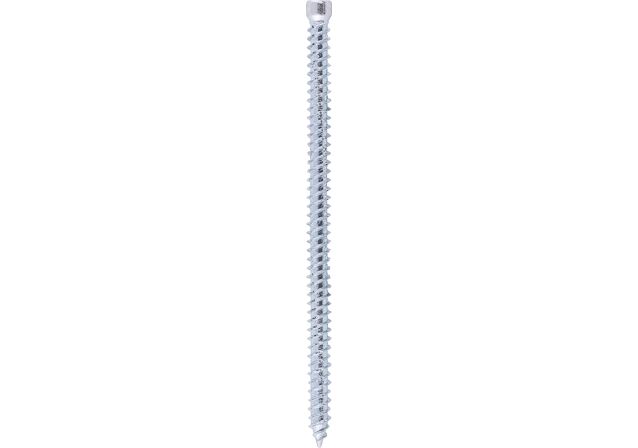 Product Category Picture: "Window frame screws FFSZ"