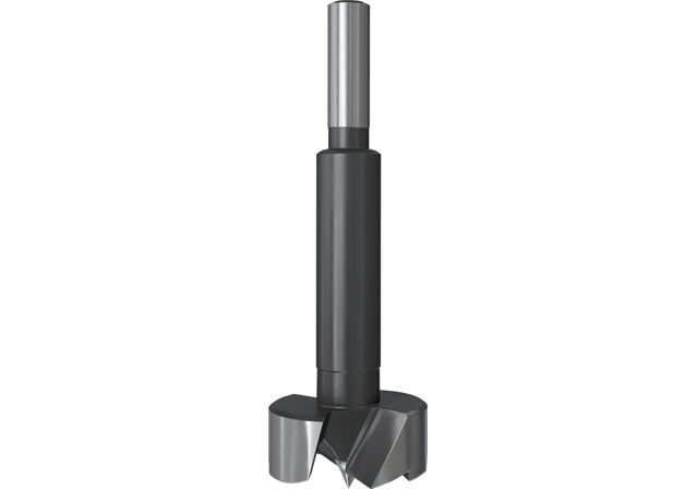Product Category Picture: "Forstner drill bit D-WFo"