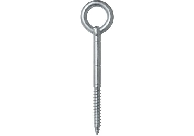 Product Category Picture: "Scaffold eye screw GS 12 + plug"