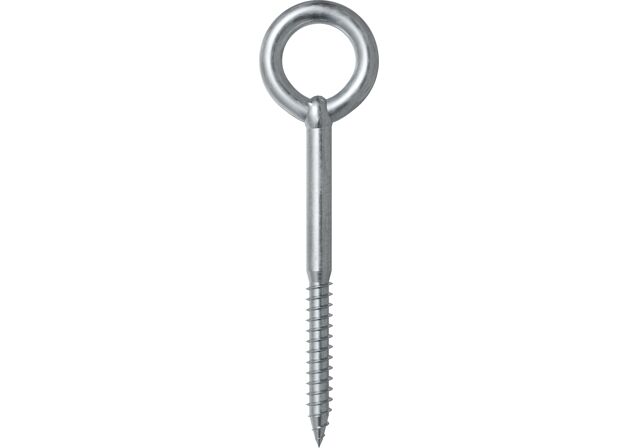 Product Category Picture: "Eye screw GS"