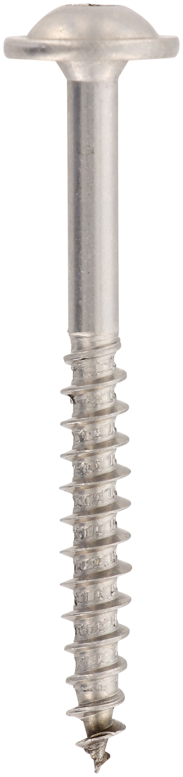 Holzbauschraube HBS WTP A2