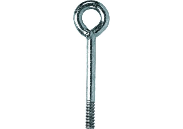 Product Category Picture: "Scaffold eyebolt FI G 12"