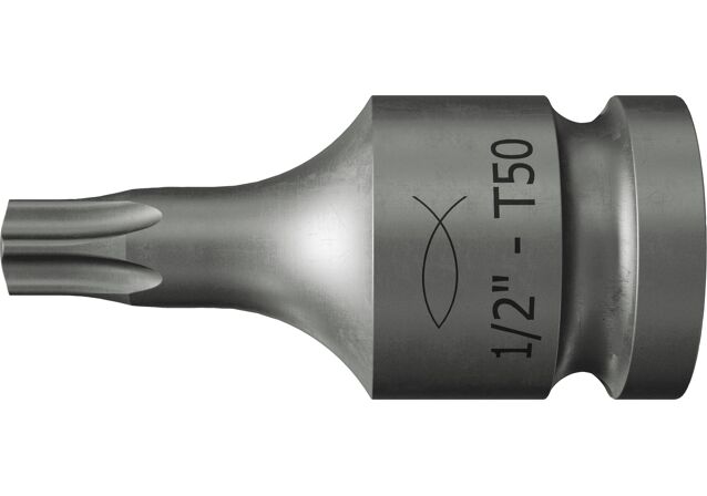 Product Picture: "fischer Socket 1/2" size 17 and TX50 bit"