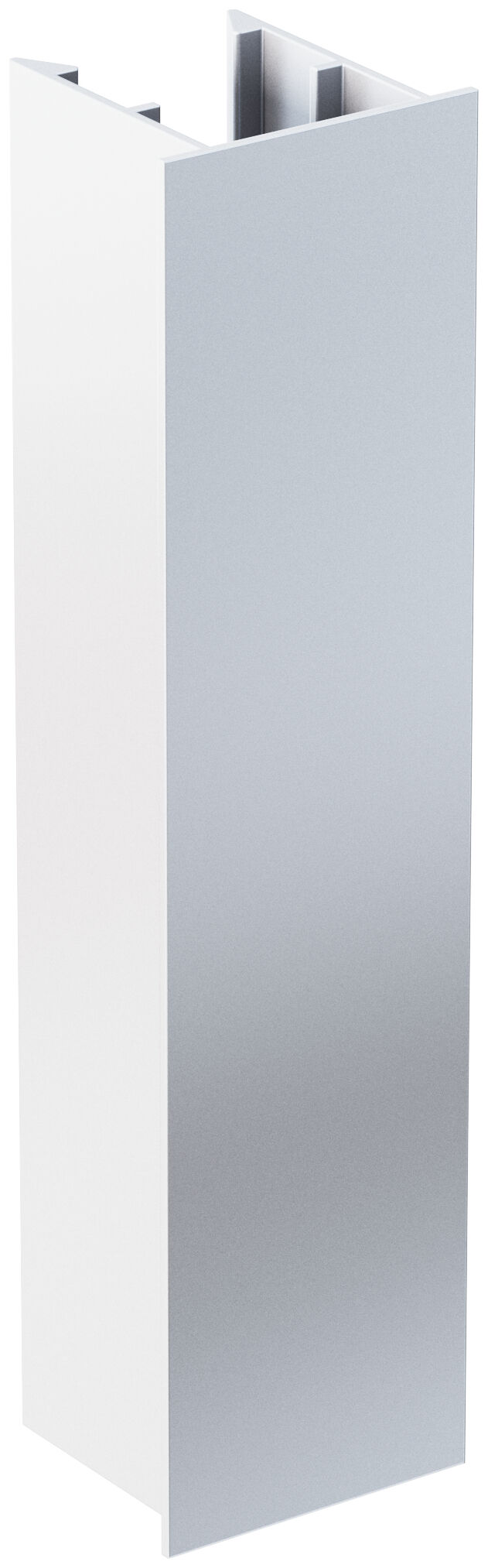 Product Picture: "fischer vertikal PI-Profil 60/50, 6 m"