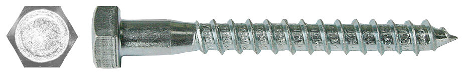 Foto Prodotto: "Vite Tirafondo T.E. 10 x 124"