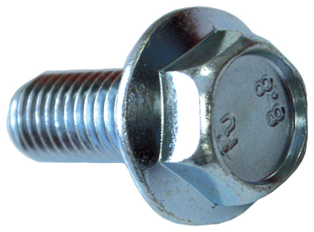 Foto Prodotto: "SKS flangiata M8X25"