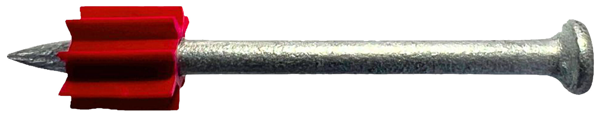 Product Picture: "fischer Pino Liso N45 SC 100"