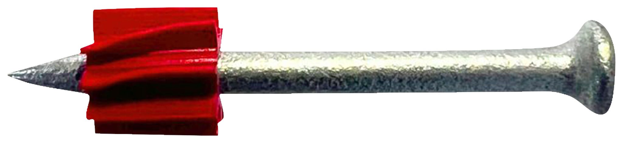 Product Picture: "fischer Pino Liso N55 SC 100"