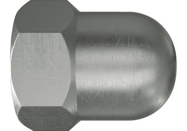 Produktbild: "fischer Hutmutter FAZ II M10 nicht rostender Stahl"