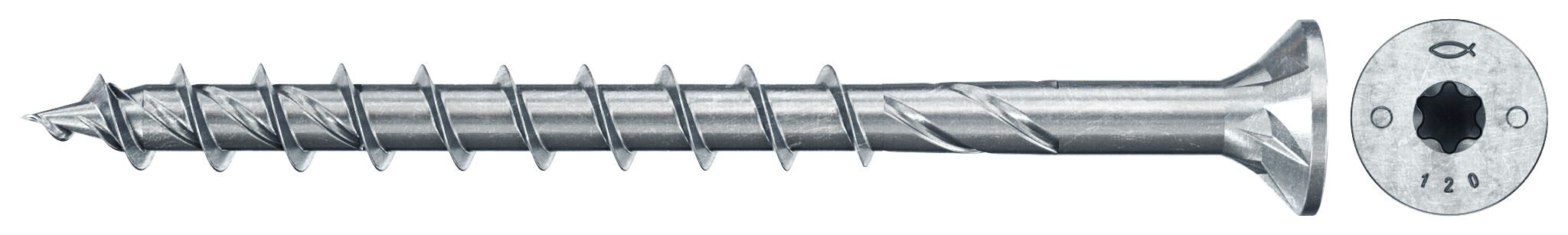 Product Picture: "FPF II CTP 10.0 x 100 BC 50"