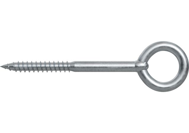 Product Picture: "fischer Eye screw GS 8 x 120 E item pricing"