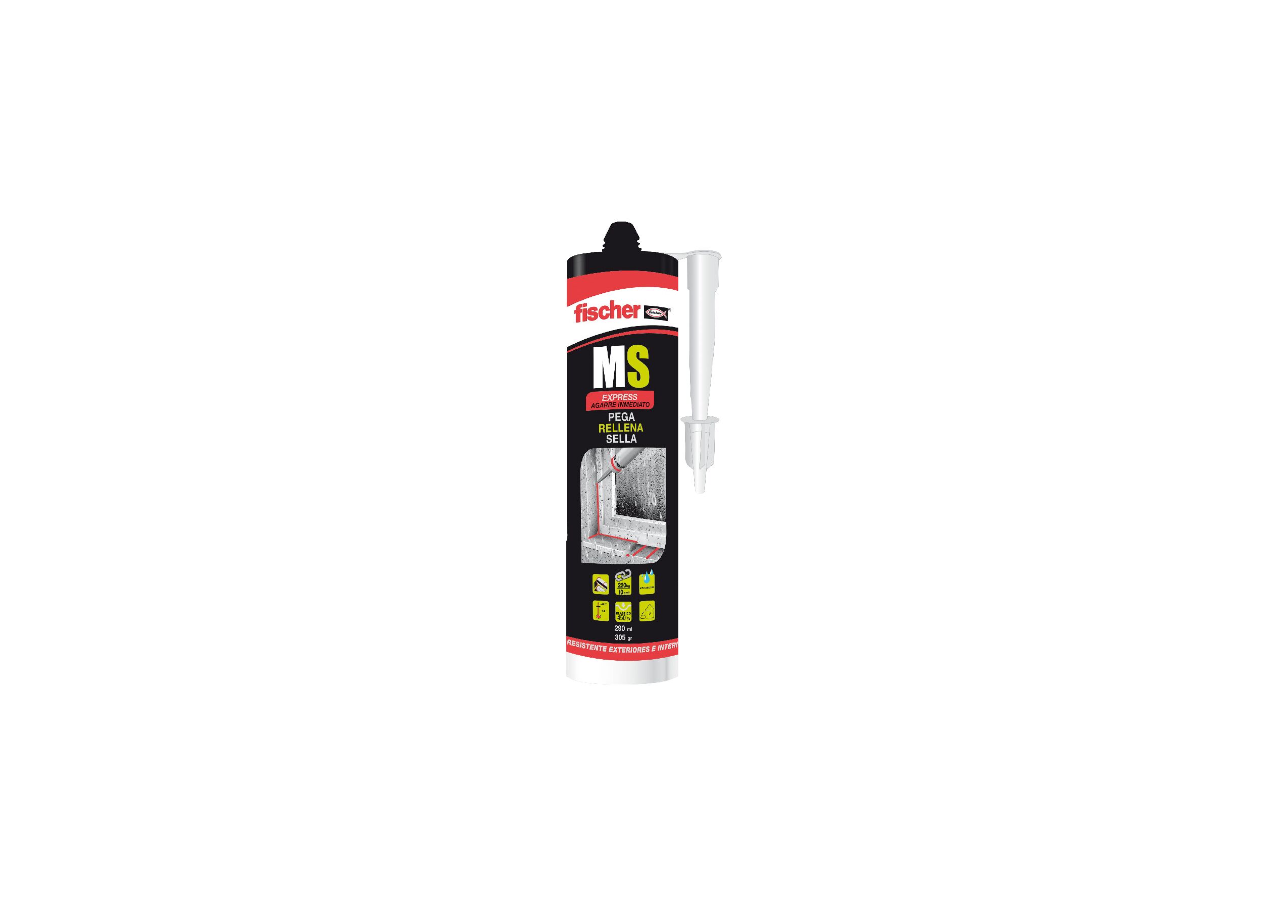 Ms Express Sa MS Express BLANCO 290ML