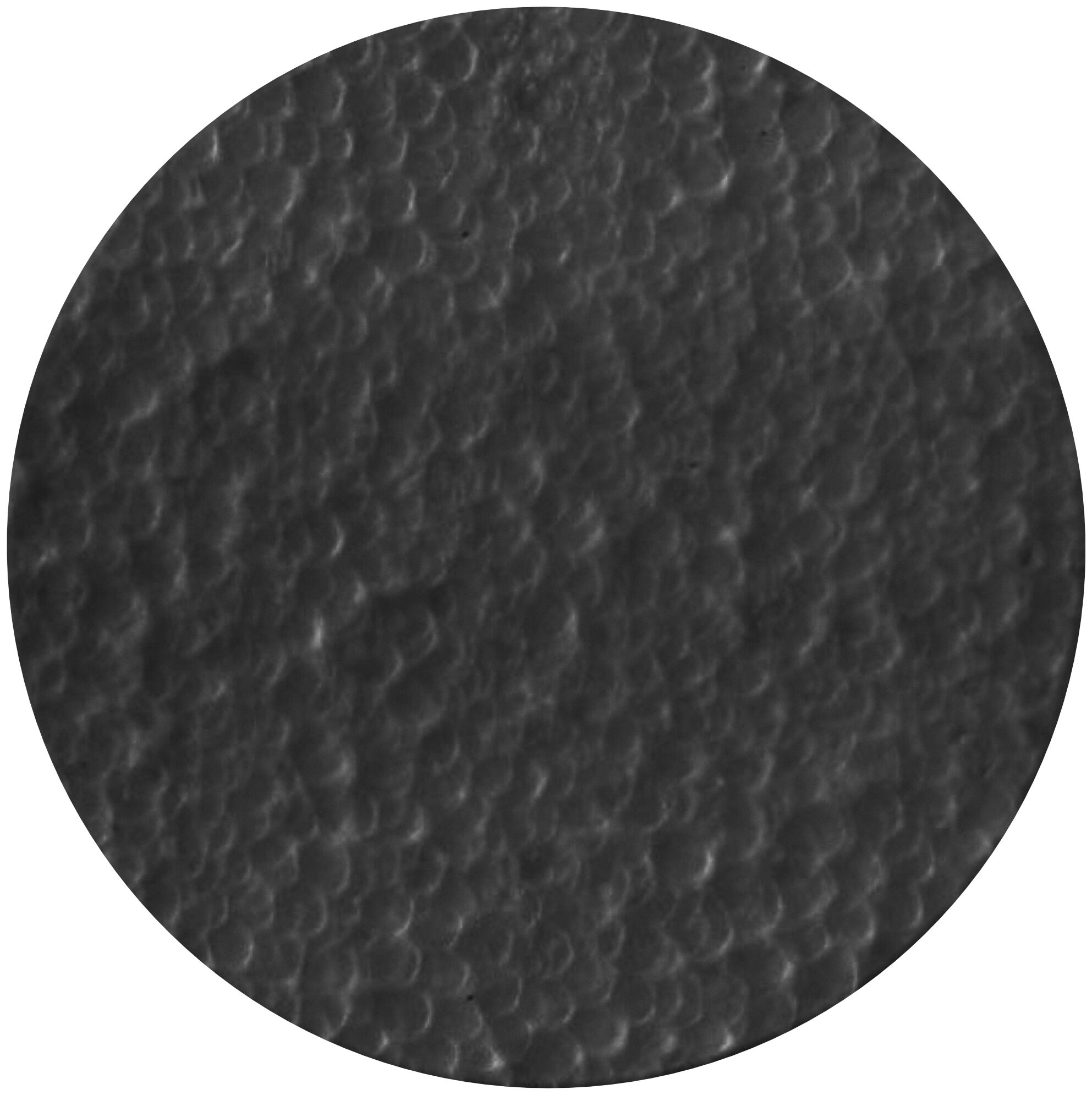 Product Picture: "fischer Closing plug TermoZ SV II PS"