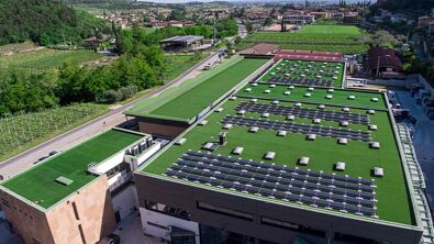 Cantina Cesari, un impianto fotovoltaico fra tradizione e innovazione